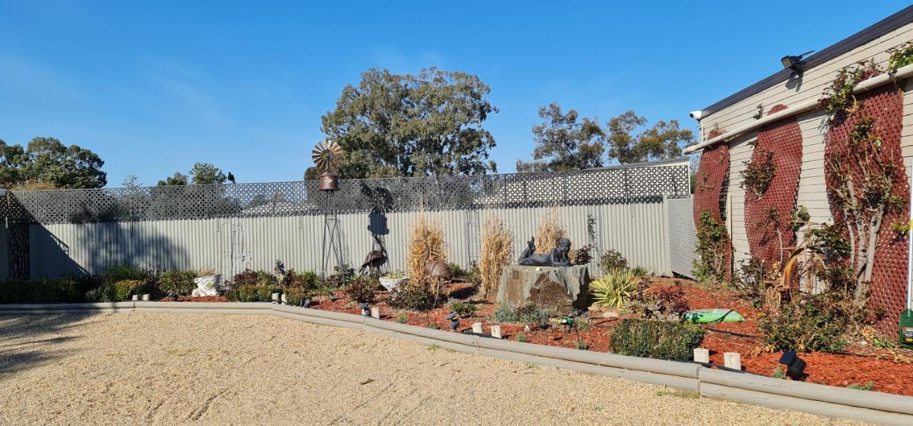 Cameo Inn Motel West Wyalong Exterior photo